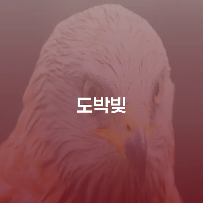 신용카드 연체 대출 빚갚는 방법 믿고 진행 할 수 있는
