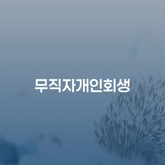 개인회생준비서류 채무조정제도을 이용하여 추천하는 곳