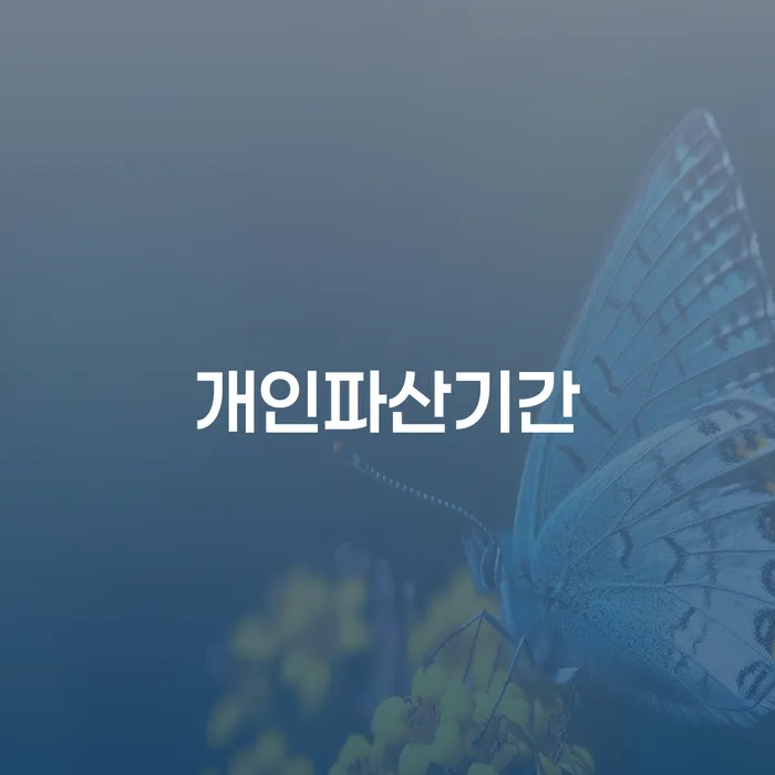 개인회생 수임료 분납 가능하고 대출 받은 돈채무조정 선택해야 하는