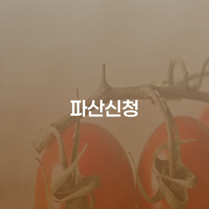 천안시 파산신청 대출 연체 개인회생 다른방법이