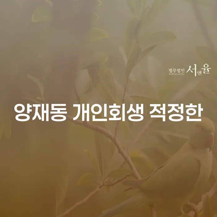 양재동 개인회생 적정한