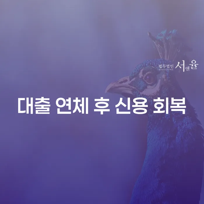 대출 연체 후 신용을 회복하려면 어떻게 해야 할까요?