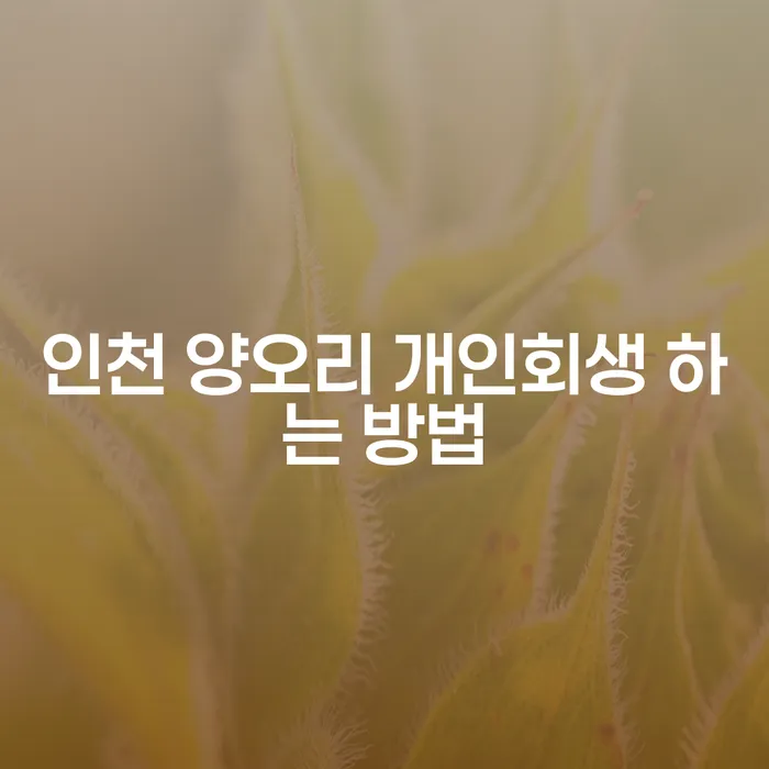 인천 양오리에서 개인회생하는 방법: 궁금증 해결하기