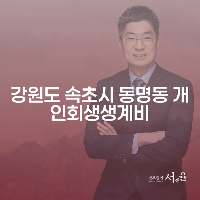 강원도 속초시 동명동, 개인회생과 개인파산으로 새 출발할 수 있을까요?