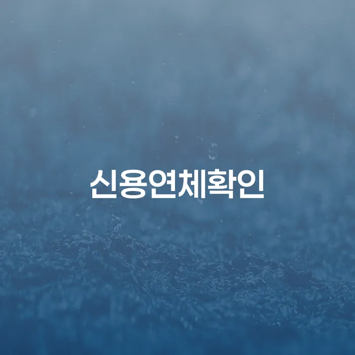 신용연체확인과 개인회생 퇴직금 중간정산: 어떻게 극복할 수 있을까요?