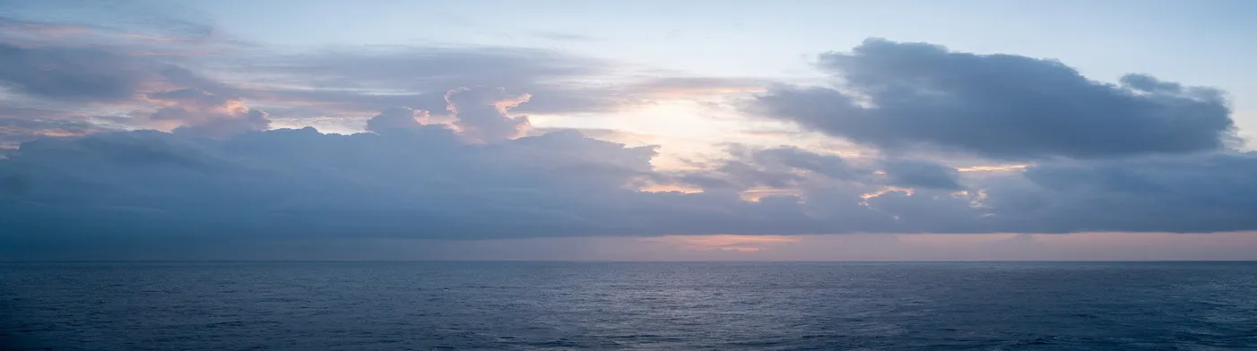 법무법인 서앤율