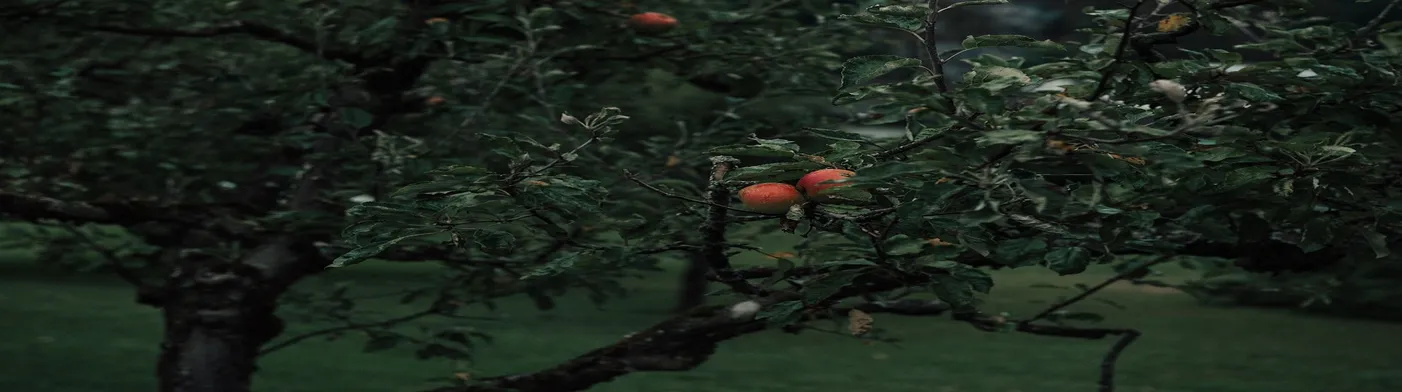 법무법인 서앤율