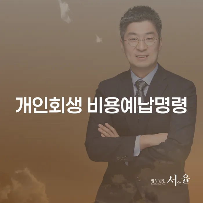 개인회생 비용예납명령, 구제금융으로 채무 문제 해결할 수 있을까요?